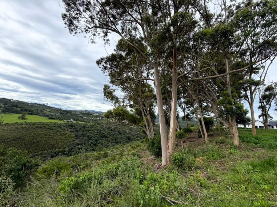 0 Bedroom Property for Sale in Estuary Heights Western Cape